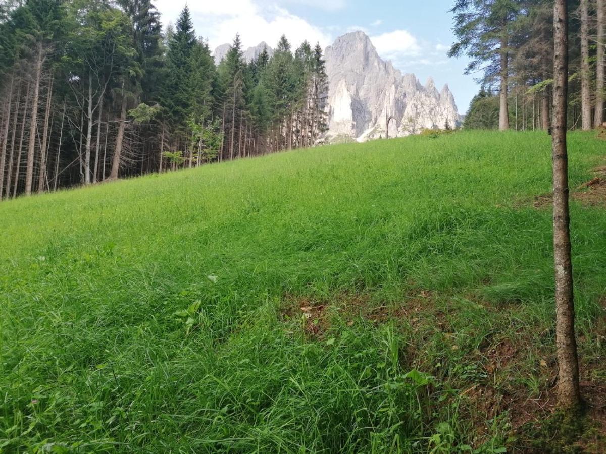 Baita Pra Petina Pale Di San Martino Siror Luaran gambar
